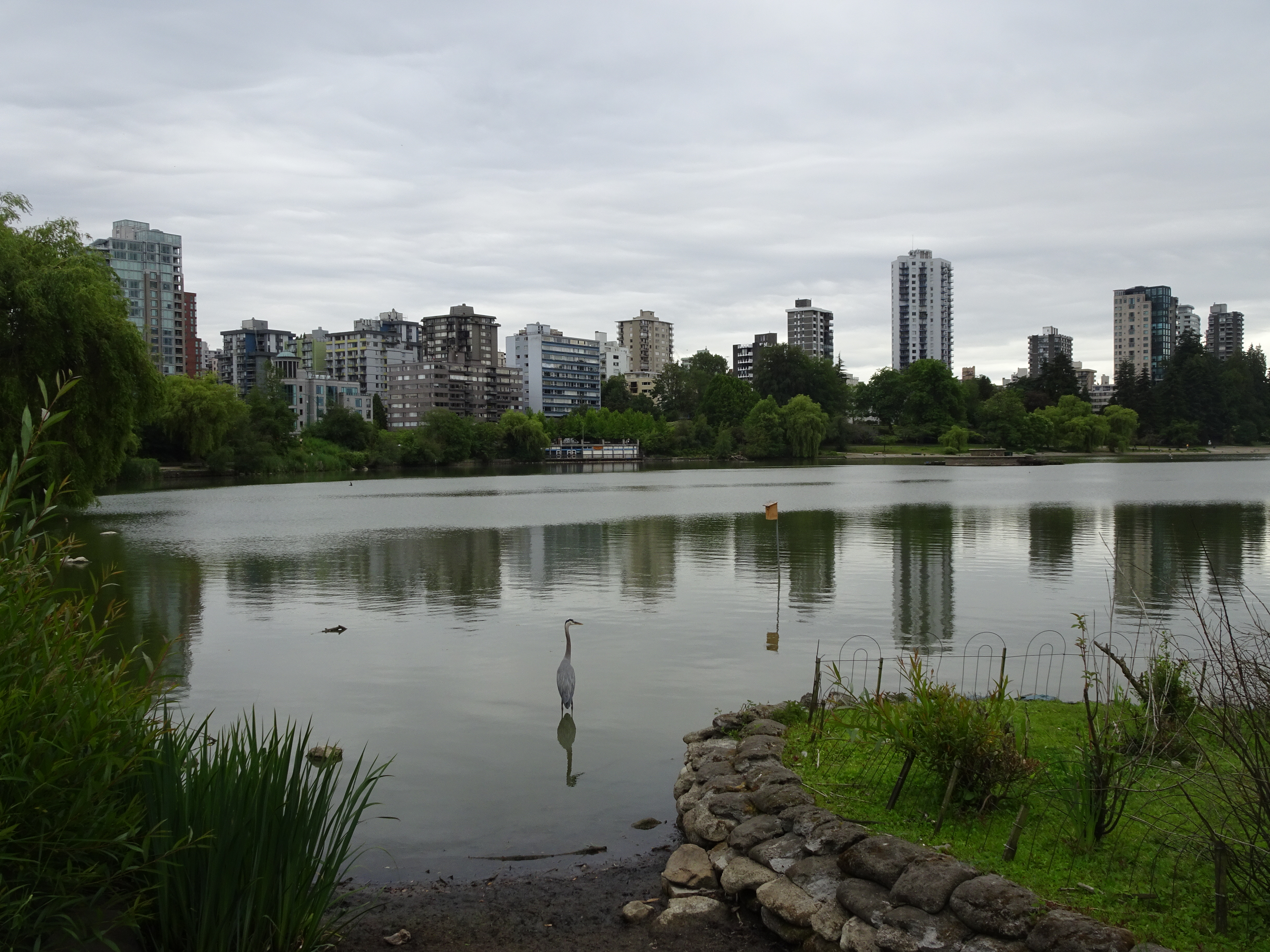 vancouver stanley park lost lagoon (1)