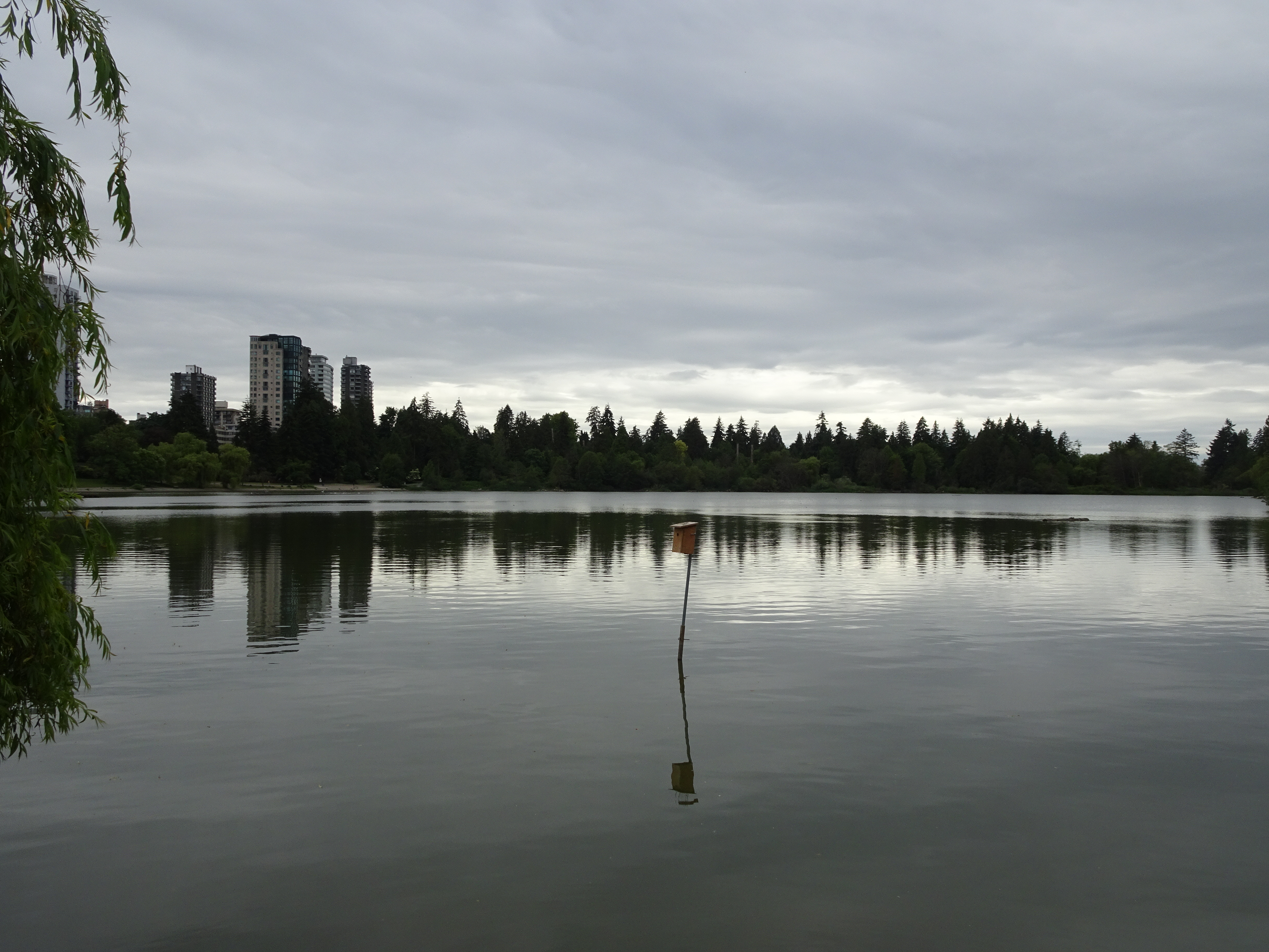 vancouver stanley park lost lagoon (3)