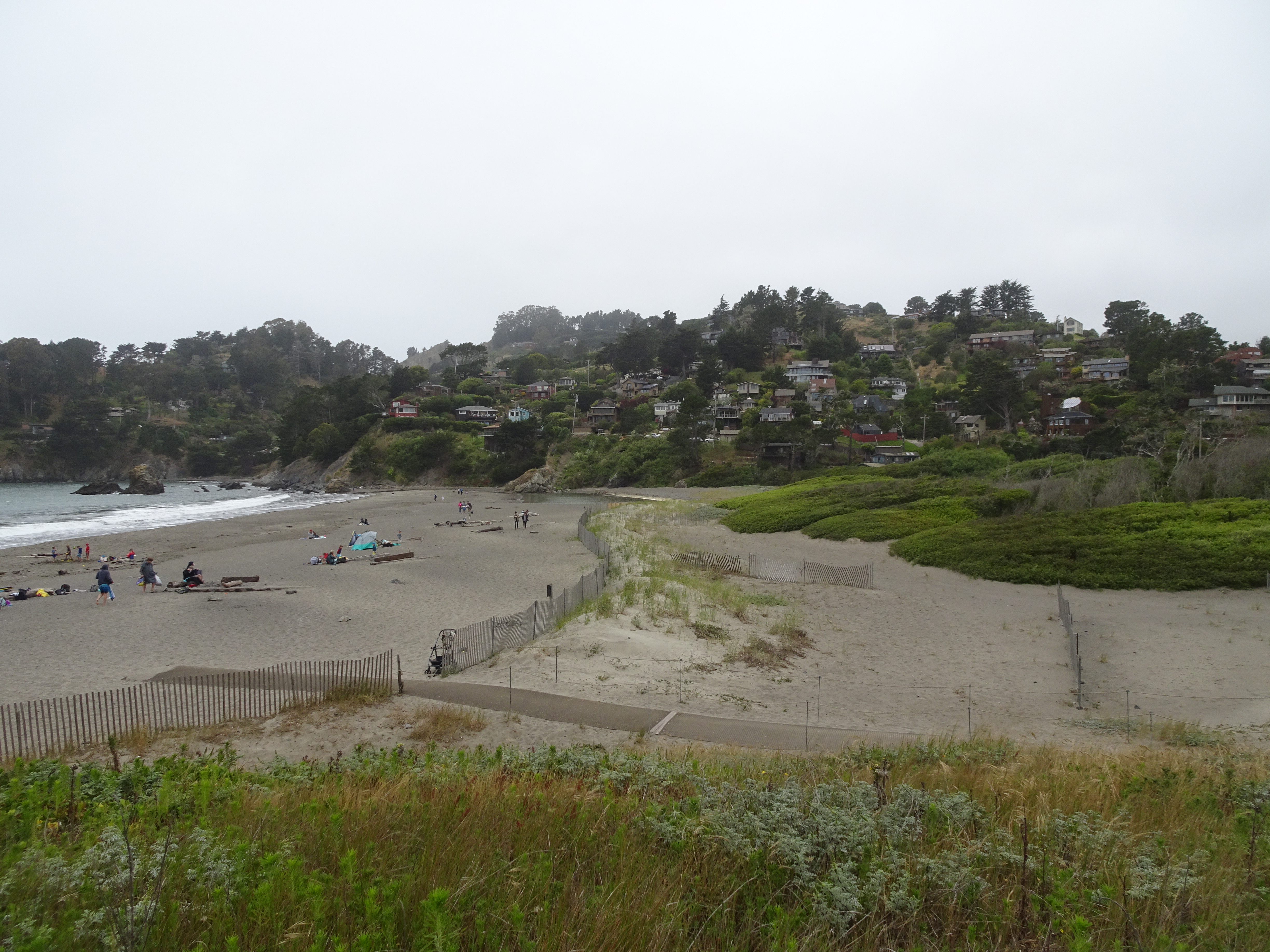 Sausalito california Muir beach san francisco (15)