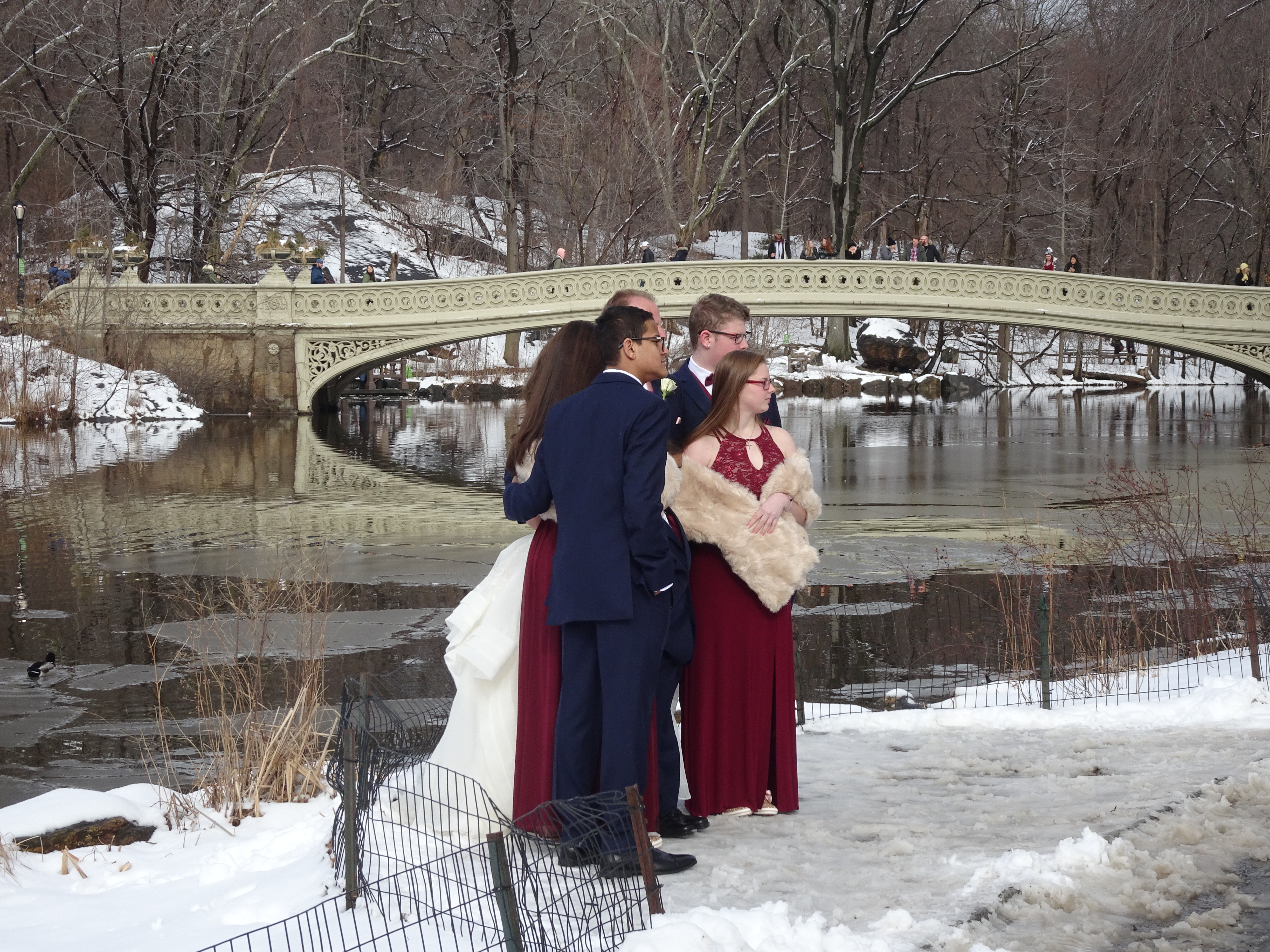 new york 2019 central park nevado casamiento