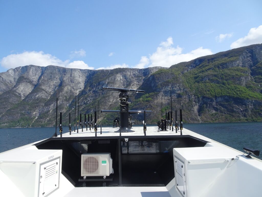 Norway in a nutshell - navegando el fiordo de Aurland