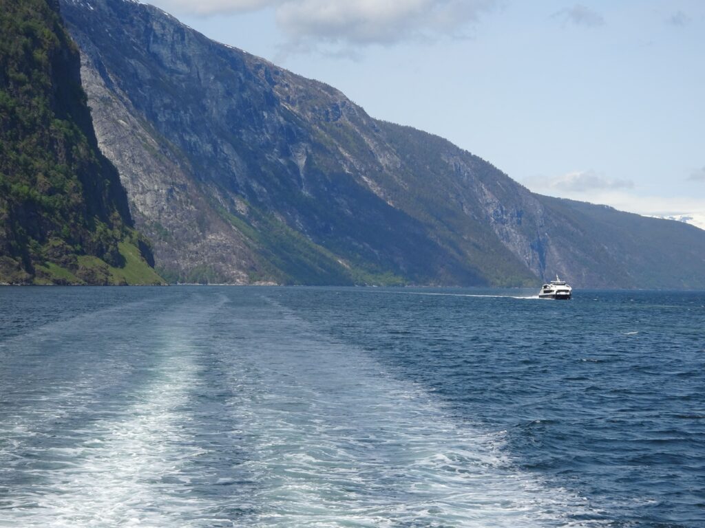 Norway in a nutshell - rumbo a Flam