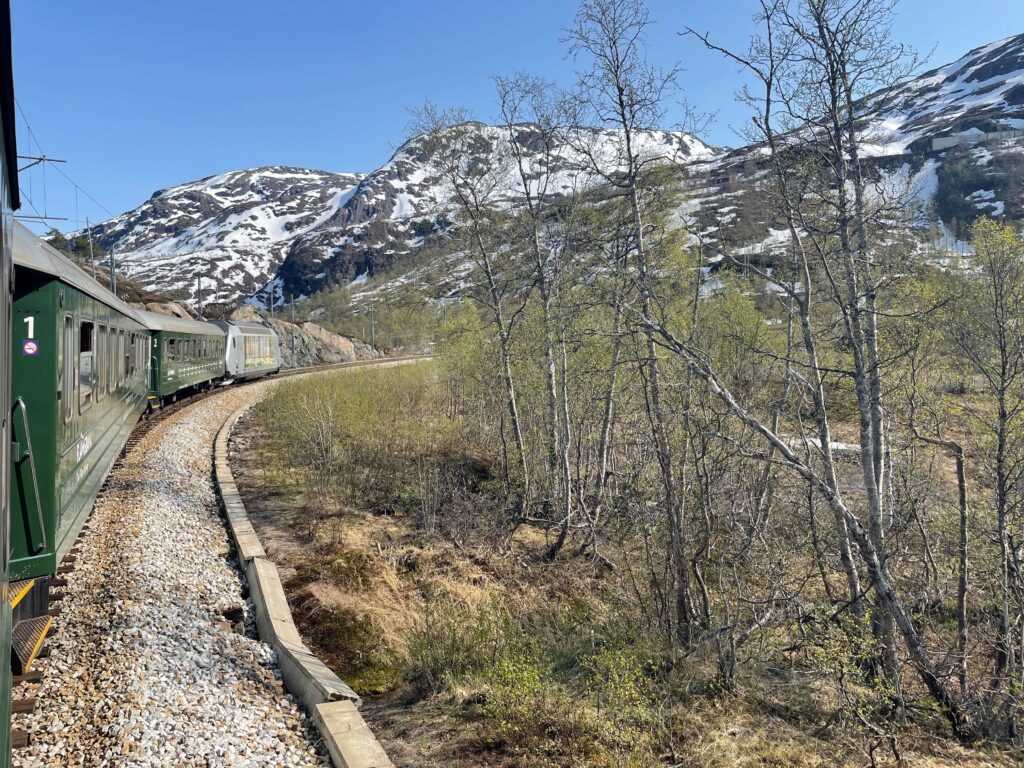 Norway in a nutshell - tren Flamsbana recorrido