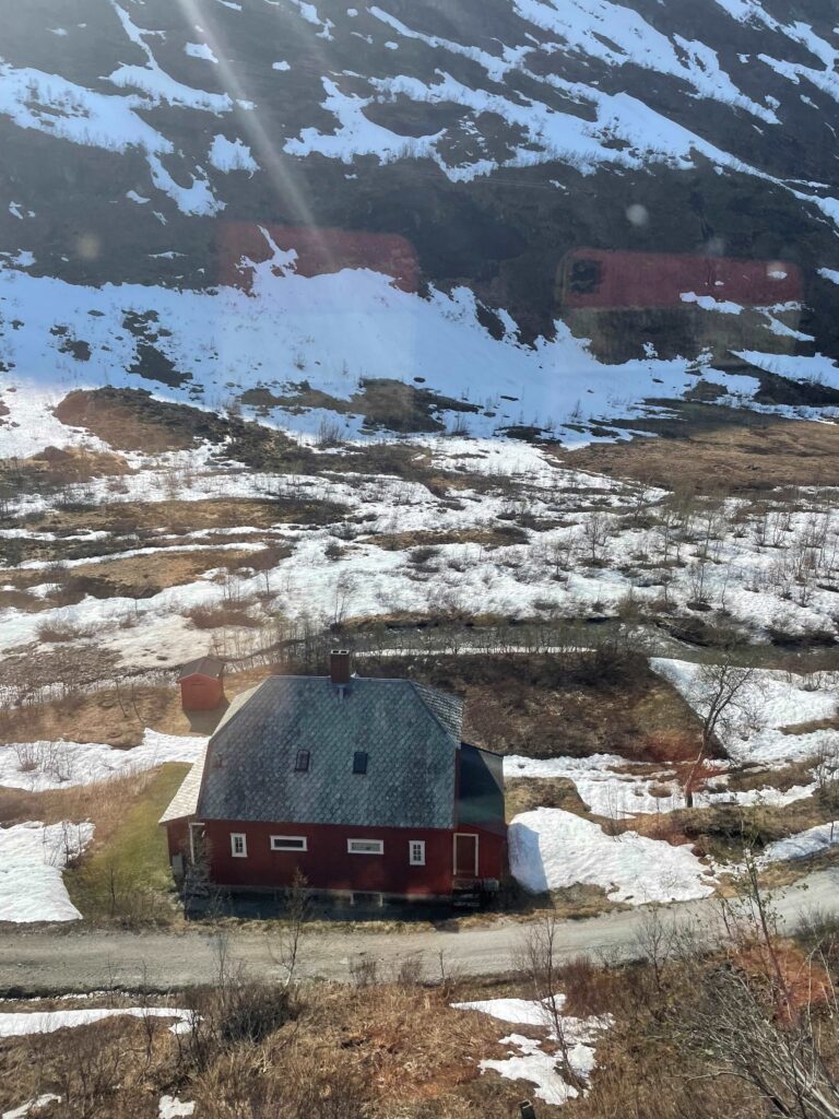 Norway in a nutshell - llegando a Myrdal