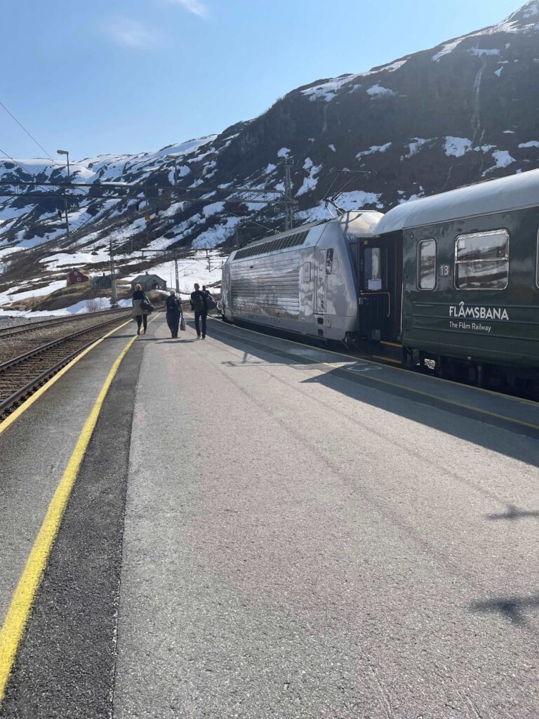 Norway in a nutshell - tren flamsbana en Myrdal