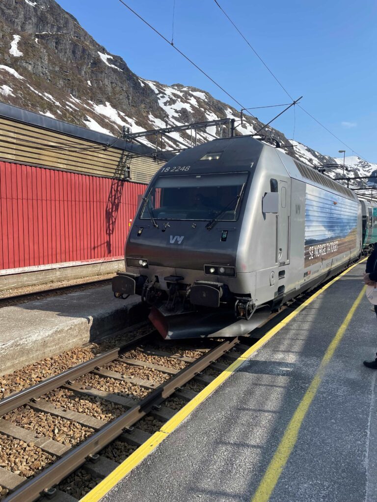 Norway in a nutshell - tren a oslo arribando a Myrdal