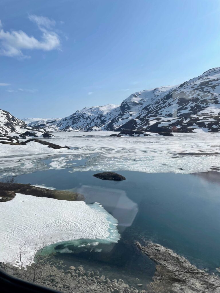 Norway in a nutshell - tren a oslo recorrido nevado